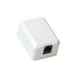 Intronics CAT6 UTP Wall mount (FA1003)